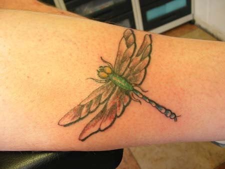 insect tattoo